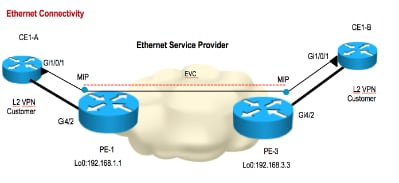 DOWN MEP topology