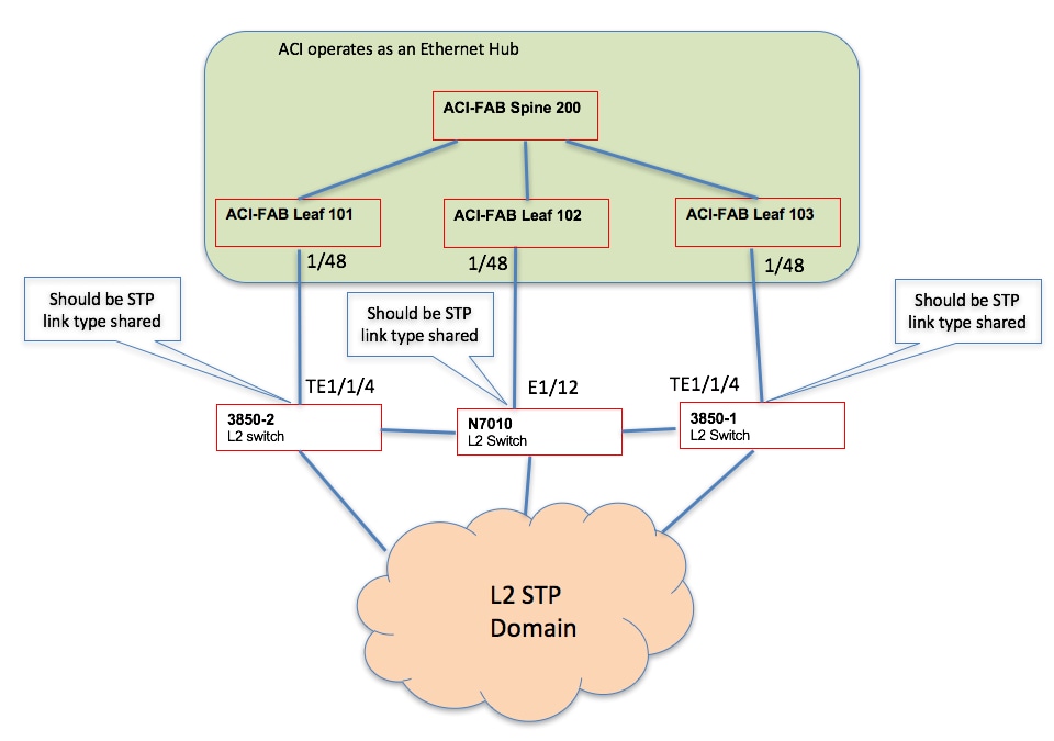 ACI Topology