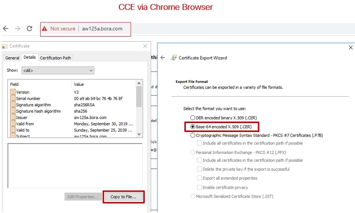 Accessing Server URLs from AW Browser