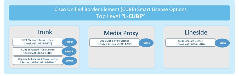 Opções do CUBE Smart License