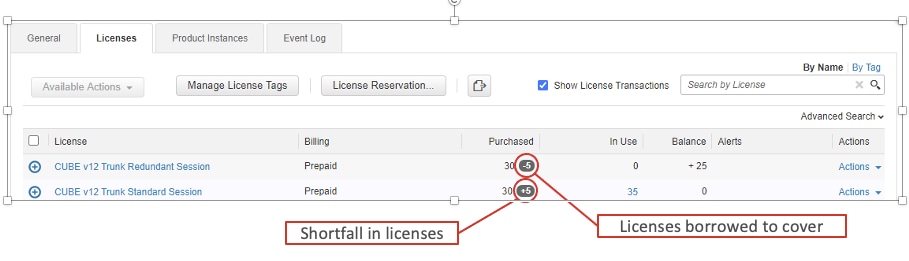 CUBE Smart License 계층