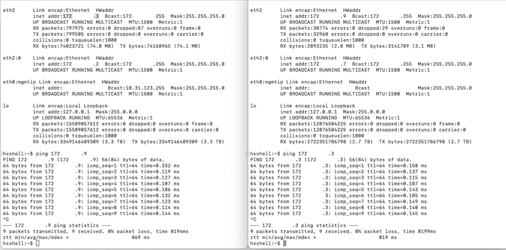 Eth2 Ping Test Example