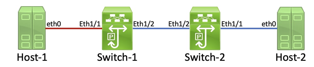 2 つのスイッチを介して直列に接続された 2 つのホストを示すネットワークトポロジ。