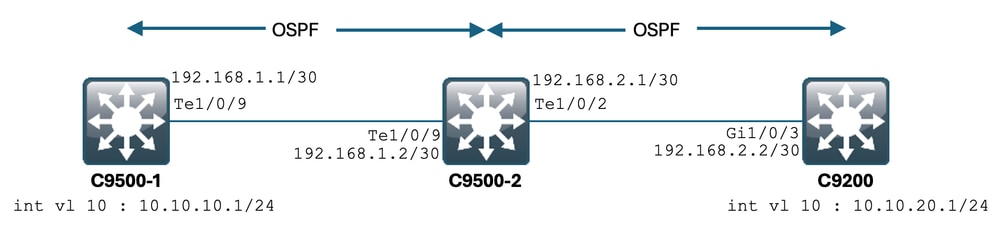 Topology