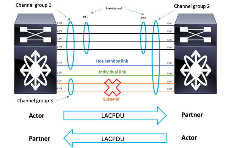 Diagramme du réseau