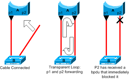 PortFast の設定エラー