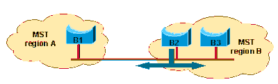 MST区域