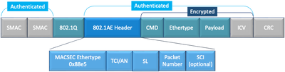 WAN MACSEC dot1q Tag in the Clear Packet Format