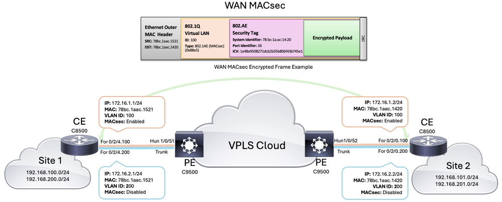 WAN MACsec拓扑