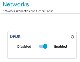 启用DPDK