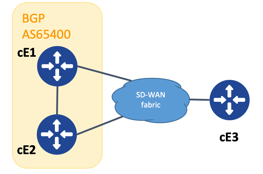 Topology for SoO Demonstration