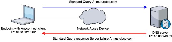 Netzwerkdiagramm