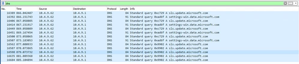 Wireshark DNS 캡처