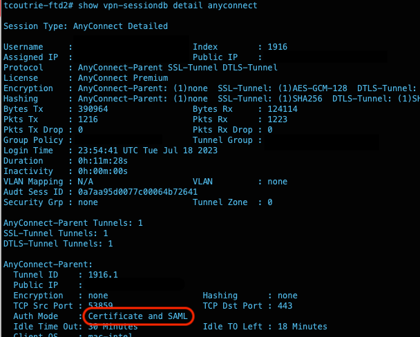 Some information has been omitted from the output example