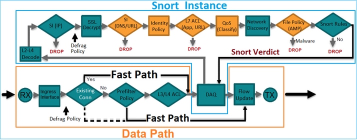 Network Topology