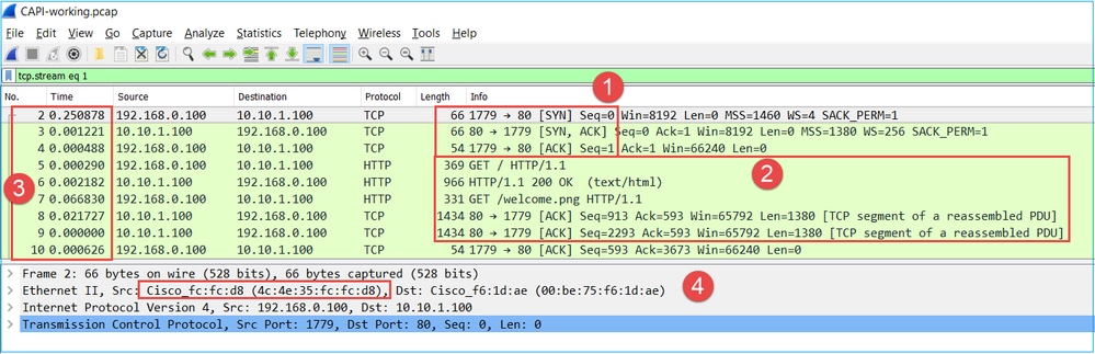 CAPI Output