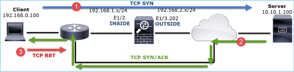 Network Topology