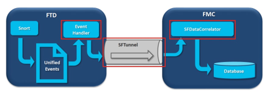 Organigramme sf