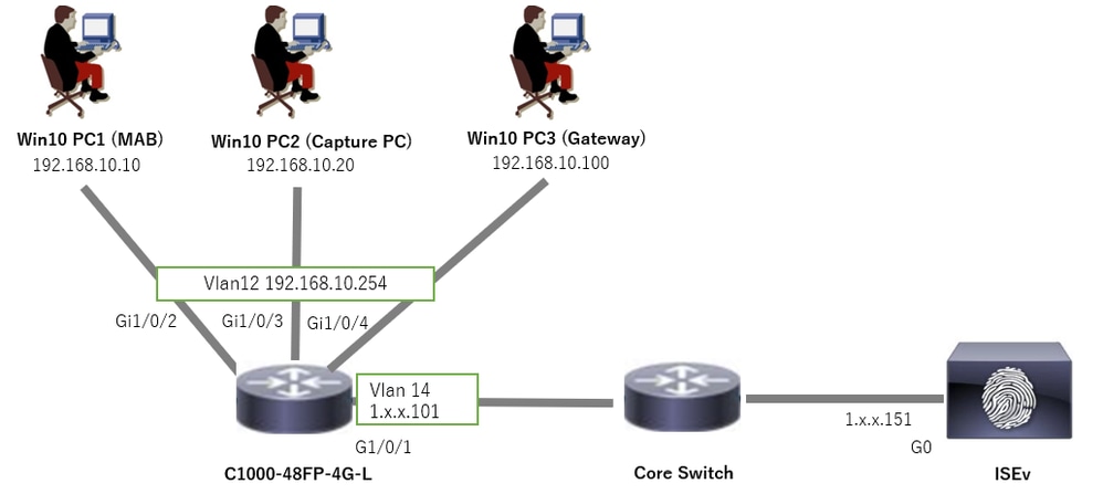 Netzwerkdiagramm