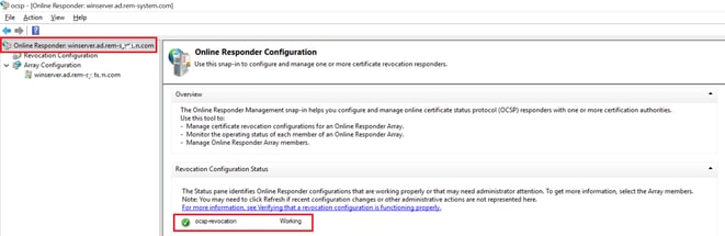 Status des OCSP-Servers