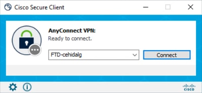 GUI antes da personalização - Logotipo da VPN