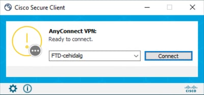 GUI após a personalização - Logotipo da VPN