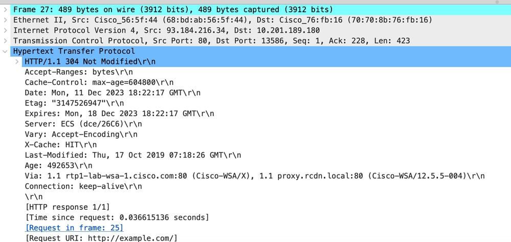 Image- Cached - HTTP response 304 - HTTP - Transparent - No Auth