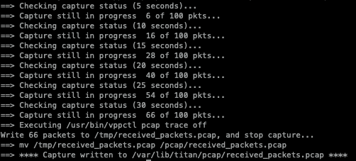 Verbose output from the example command