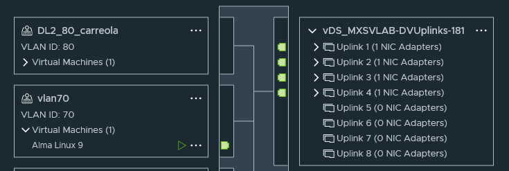 VLAN Configured on ESXi