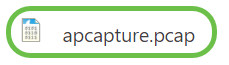 The packet capture file will download to your computer. In this example, apcapture.pcap is the name of the file. 