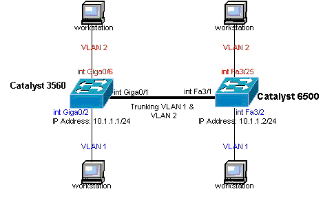 Diagramme du réseau