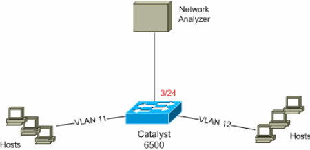 vacl-catos6k1.gif