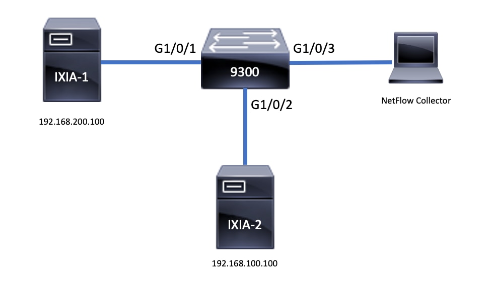 NetFlow-Topologie