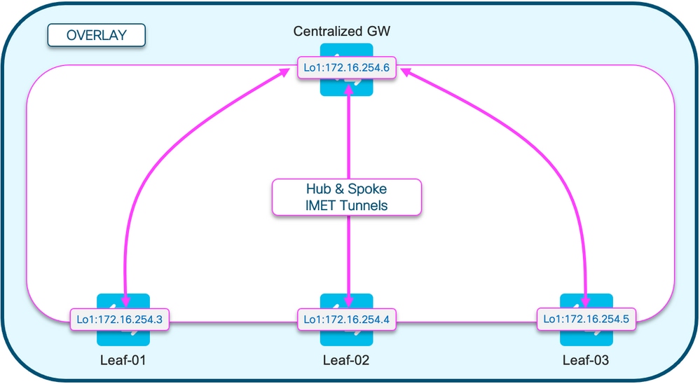 BGP EVPN RT3 - Hub-and-Spoke-Topo