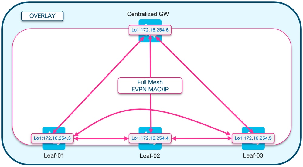 BGP EVPN RT2 Full Mesh-Topo