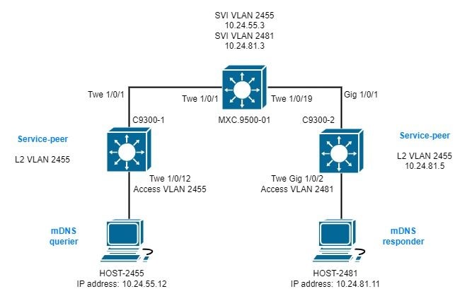 Mdns_Multi_Layer_routed topology