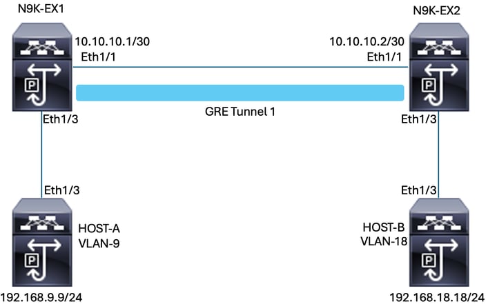 Diagramme du réseau