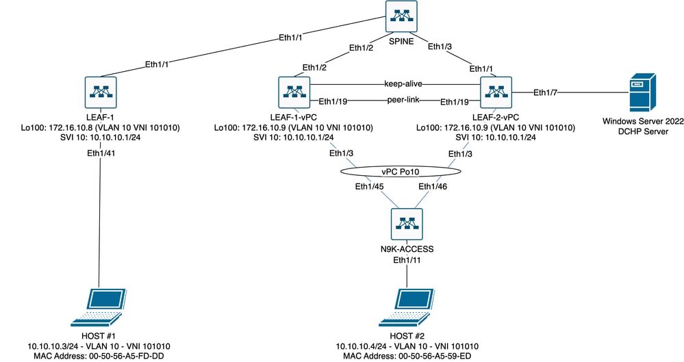 VxLAN Fabric Diagram in Laboratory