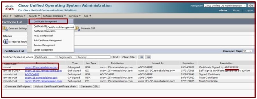 Certificado Tomcat firmado por el mismo servidor CA.