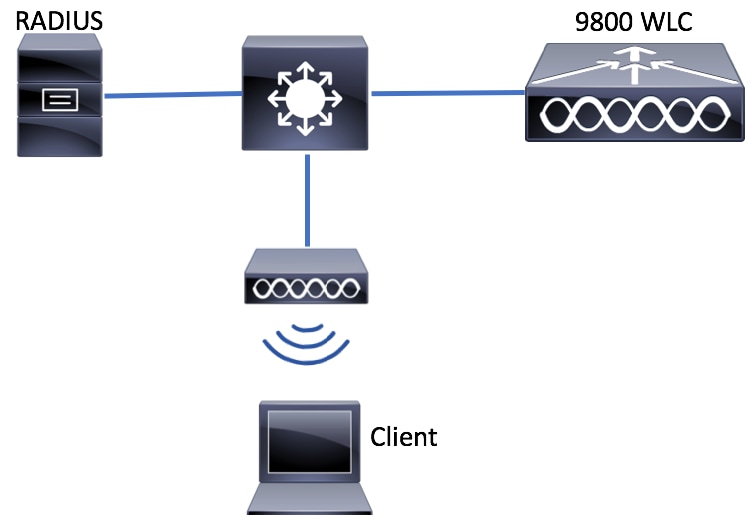 Diagrama de la red