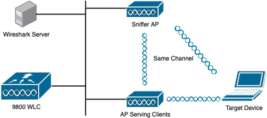 スニファAP