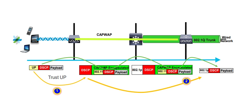 유선 네트워크에 CAPWAP