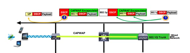 CAPWAP 터널