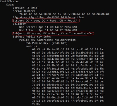 Gedecodeerde tussentijdse CA