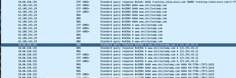 DNS Resolution Traces