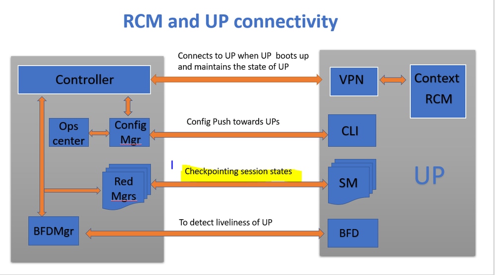 Conectividade de RCM e UP